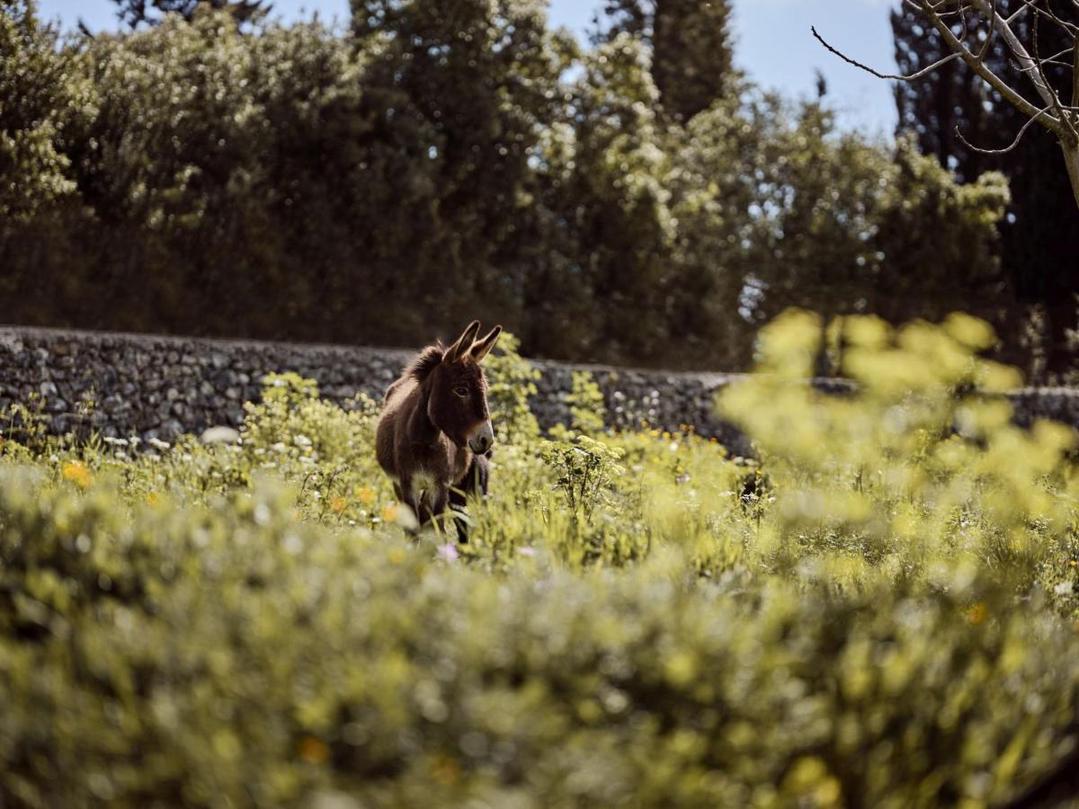 Alkis Farm And Residence Yírion Exteriér fotografie